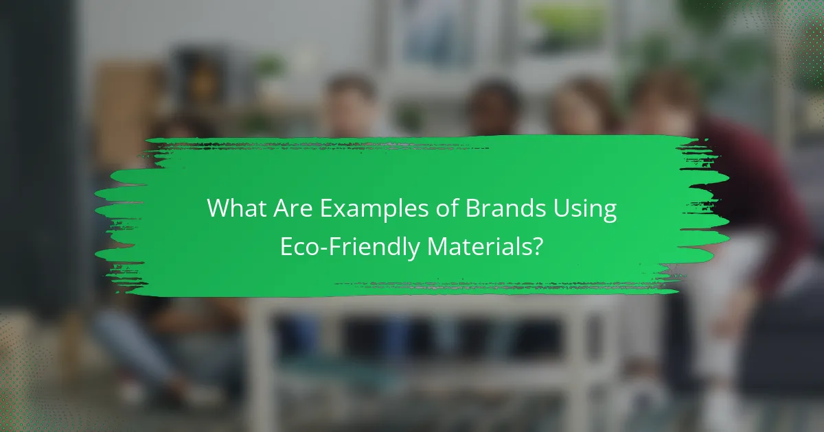 What Are Examples of Brands Using Eco-Friendly Materials?